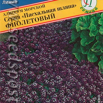 Алиссум морской Пасхальная шляпа Фиолетовый, 0,2 г