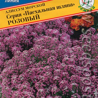 Алиссум морской Пасхальная шляпа Розовый, 0,2 г