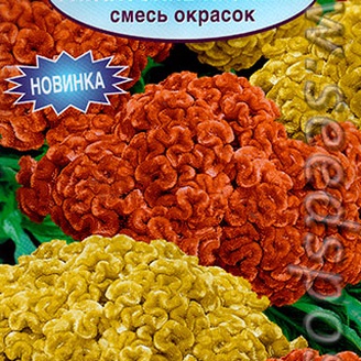 Целозия серебристая Гигантские кружева, Смесь окрасок, 0,2 г