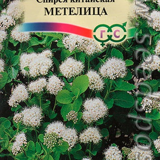 Спирея китайская Метелица, 0,02 г