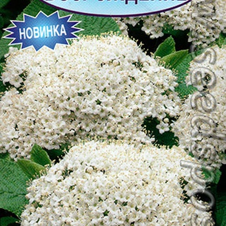 Калина гордовина Возрождение, 0,5 г