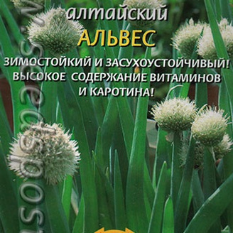 Лук алтайский Альвес, 0,45 г