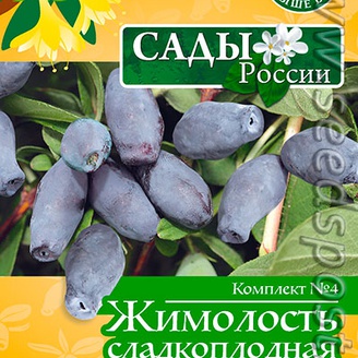 Комплект 4 Жимолость сладкоплодная (Дарьюшка, Губернаторская, Ямальская), 10+10+10 шт.