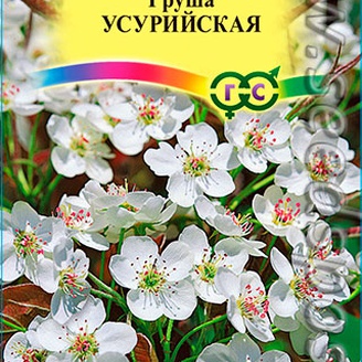 Груша Уссурийская, 0,3 г