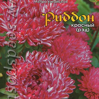 Астра китайская Риббон Рэд, 30 шт.
