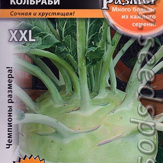 Капуста кольраби Русский размер, 50 шт.