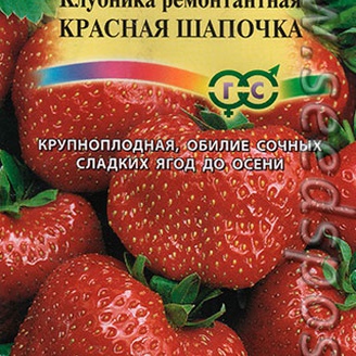 Клубника (земляника) ремонтантная Красная шапочка, 0,01 г