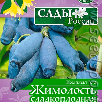 Комплект 3 Жимолость сладкоплодная (Баядерка, Акулина, Евдокия), 10+10+10 шт.