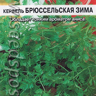 Кервель Брюссельская зима, 0,3 г Урожайный подоконник