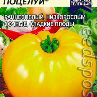 Томат Бабушкин Поцелуй ®, 0,1 г Сибирская Селекция!