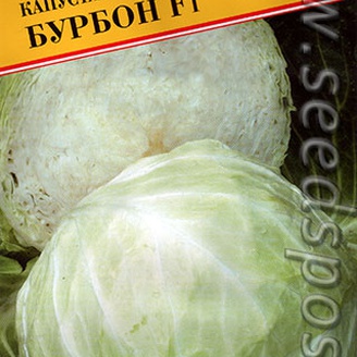 Капуста белокочанная Бурбон F1, 15 шт. Голландская линия