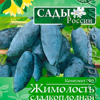 Комплект 5 Жимолость сладкоплодная (Хадыта, Харп, Лабытнанги), 10+10+10 шт.