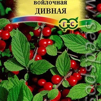 Вишня войлочная Дивная, 0,5 г