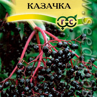 Бузина черная Казачка, 0,1 г