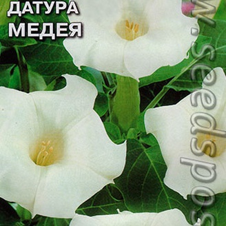 Датура (дурман) Медея, 0,5 г