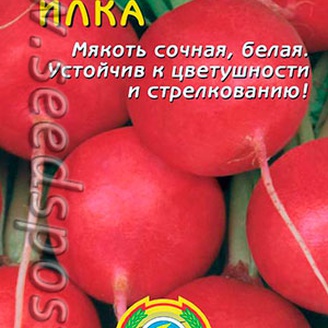 Редис Илка, 2 г