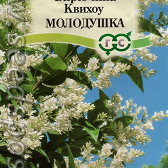 Бирючина Квихоу Молодушка, 0,3 г