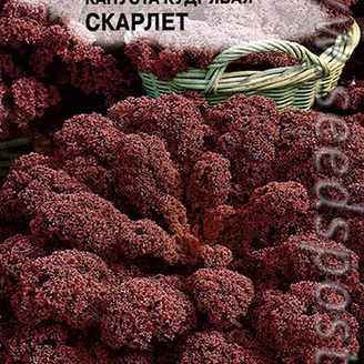 Капуста кудрявая Скарлет, 0,5 г