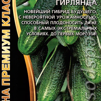 Огурец Сибирская гирлянда F1, 5 шт. Семена премиум класса