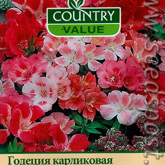 Годеция Драгоценность карликовая, 500 шт.