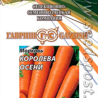 Морковь Королева Осени, 2 г 