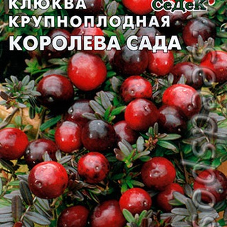 Клюква крупноплодная Королева сада, 0,05 г