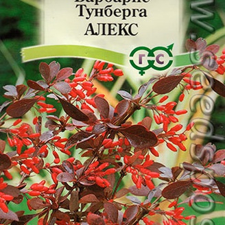 Барбарис Тунберга Алекс, 0,2 г