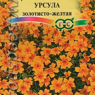 Бархатцы тонколистные Урсула Золотисто-желтые, 0,05 г