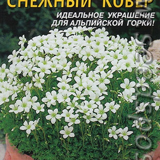 Камнеломка Снежный ковер, 0,005 г