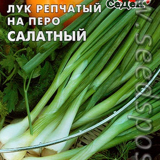 Лук репчатый на перо Салатный, 1 г