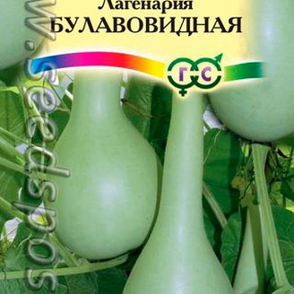 Лагенария Булавовидная, 5 шт. Декоративная лиана