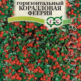Кизильник горизонтальный Коралловая феерия, 0,1 г