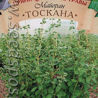 Майоран садовый Тоскана, 0,2 г