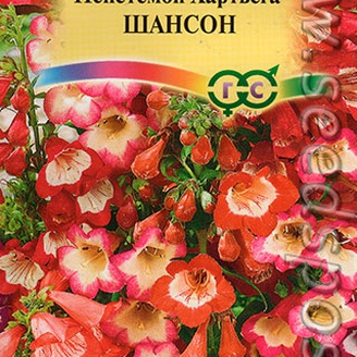 Пенстемон Хартвега Шансон, 0,1 г