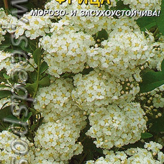 Спирея Фрица, 0,03 г