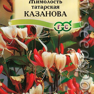 Жимолость татарская Казанова, 0,08 г