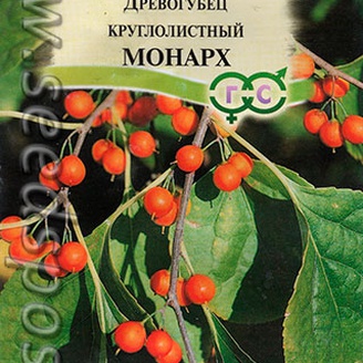 Древогубец круглолистный Монарх, 0,2 г