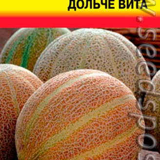 Дыня Дольче Вита, 0,5 г Premium Selection