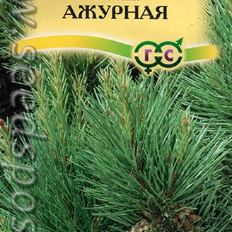 Сосна обыкновенная Ажурная, 0,2 г