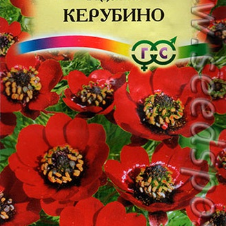 Адонис летний Керубино, 0,2 г