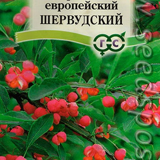 Бересклет европейский Шервудский, 0,2 г