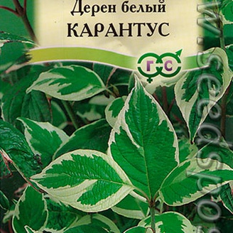 Дерен белый Карантус, 0,1 г