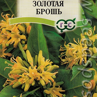 Диервилла Золотая брошь, 5 шт.