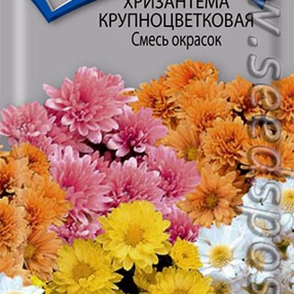 Хризантема крупноцветковая Смесь окрасок, 0,05 г