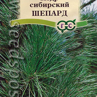 Кедр сибирский Шепард, 3 шт.