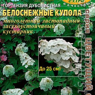 Гортензия дуболистная Белоснежные купола, 0,005 г 