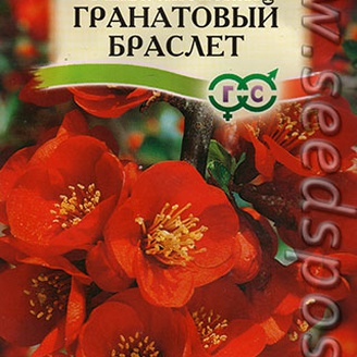Айва японская Гранатовый браслет, 0,3 г