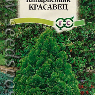 Кипарисовик тупой Красавец, 0,1 г