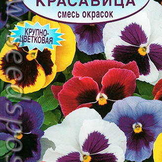 Виола Русская красавица, Смесь окрасок, двулетник, 0,1 г