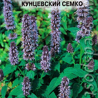 Лофант анисовый Кунцевский Семко, 0,1 г